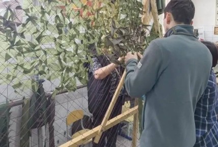 ���������� � �������������� �������, ����������� � ������ ������, �������������� � ������������� �������� �������� ���� ������