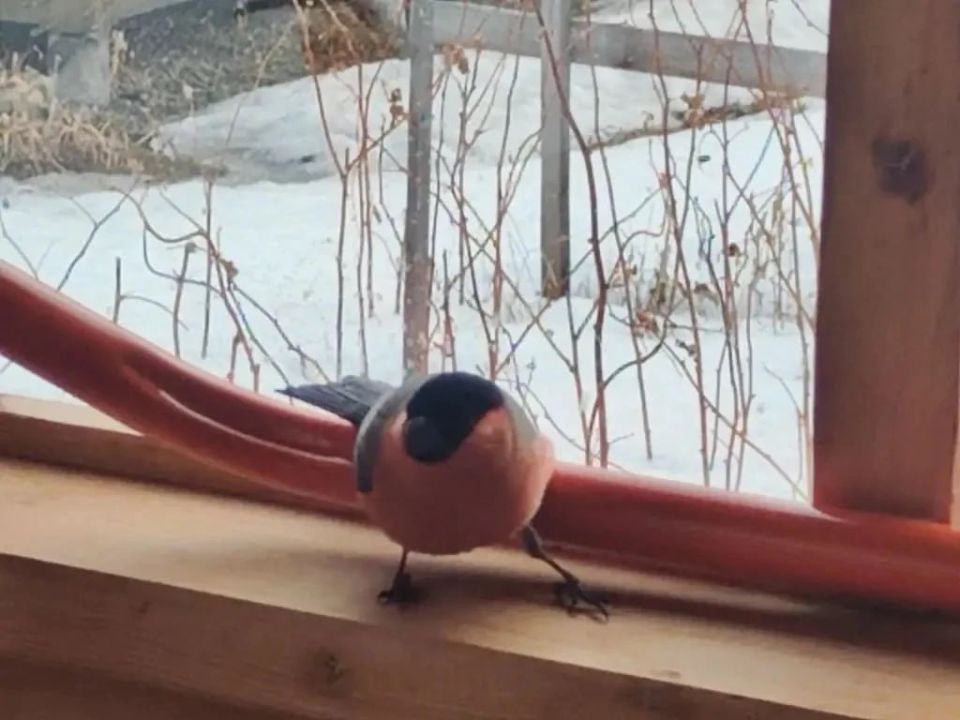 ��� �������� ������� � ���� �� ���� �������, � �������� ������� ������������ ���� ��� ����������