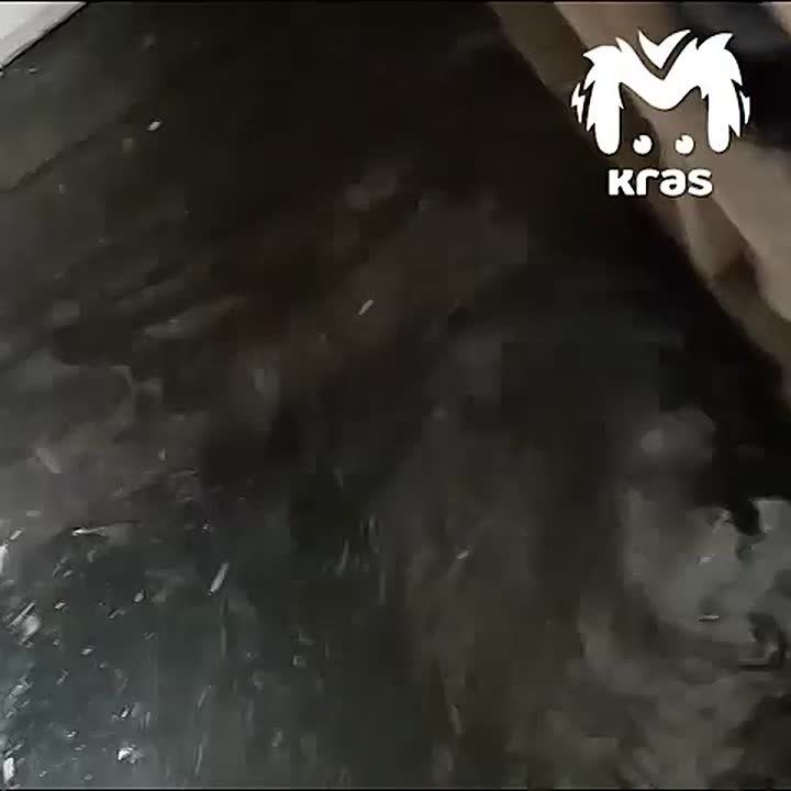 ������, ������� � ���� ����� � ���������