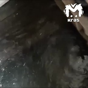 ������, ������� � ���� ����� � ���������