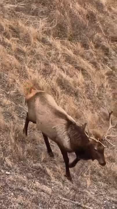 ���������� �������� ��������� ������� �� ������������ ������