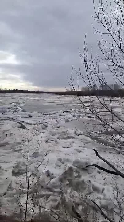 ������� ������� �� ���� ���� �� ��� ����