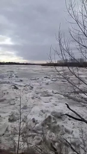 ������� ������� �� ���� ���� �� ��� ����