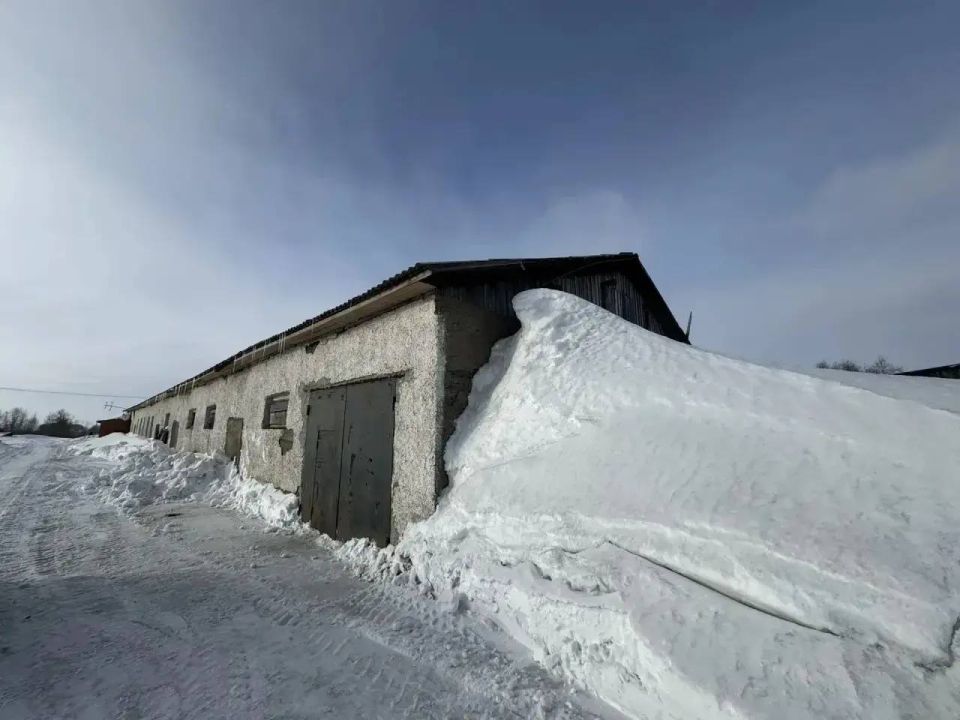 �� ���� ����������� � ����������� ������������� ������ �������� ������������ ������� ��� ������ ��������� �� ������������ ��������