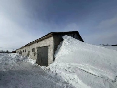 �� ���� ����������� � ����������� ������������� ������ �������� ������������ ������� ��� ������ ��������� �� ������������ ��������