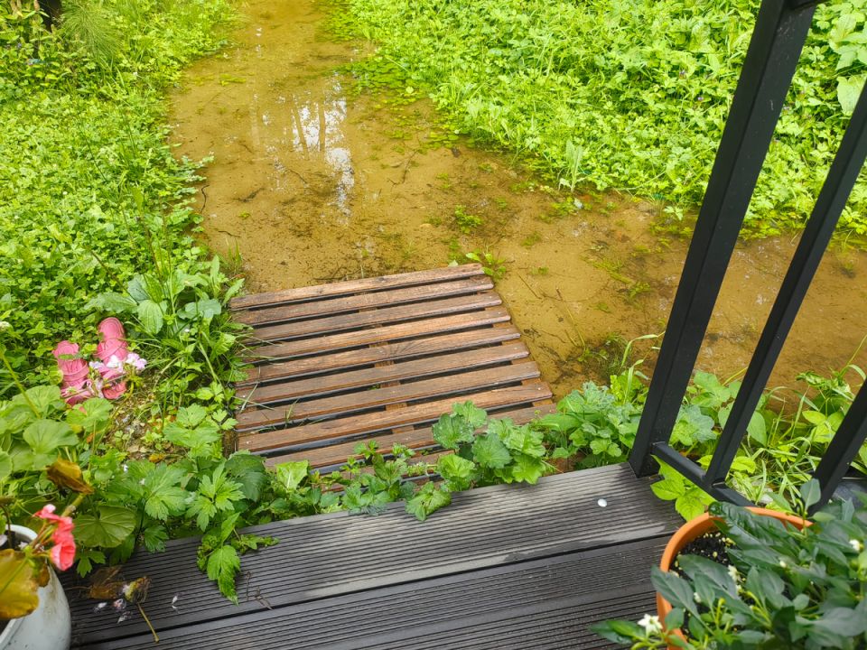 ��� �������� ���������� �� ������� ��� ��������� �������: ������������ ����