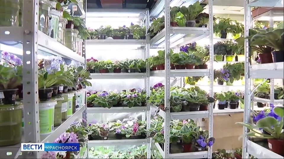 ����� ���� ����� ����� ������ ������� � ���� ���� ���������� ����������� ����� �������