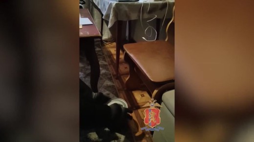 ���������� ������������� ���������� �� �������� �� �������� ���������� ��������� �������� ���� �������������� � ���������