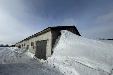 ������������� ������������ ������ ������� ������� �������������� ����� �� ������ ��������� ������������ ��������