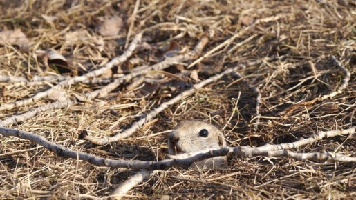 Доброе утро!. Фото: Евгений Замащиков