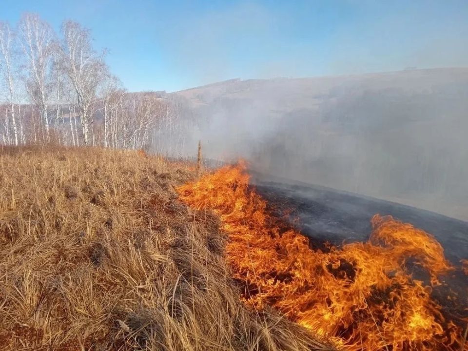 � ������ ���� ���� �������� ����������� �����