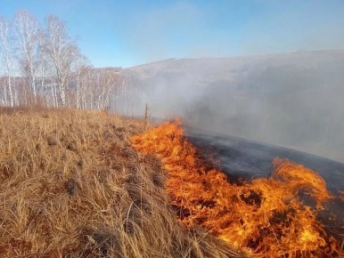 В районе села Анаш потушили ландшафтный пожар