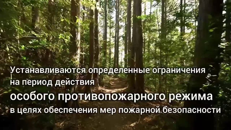 ������� � �� �������, ��� � � ����: ������ ���� ������ ����� ����� ���������