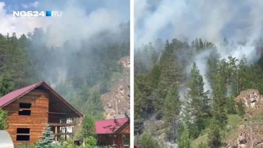 Детям не игрушка: по инициативе прокуратуры с красноярца взыскали расходы, затраченные на ландшафтный пожар после выстрела из сигнального пистолета