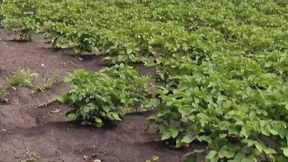 � ����������������� ����������, ��� �������� �������� ���������