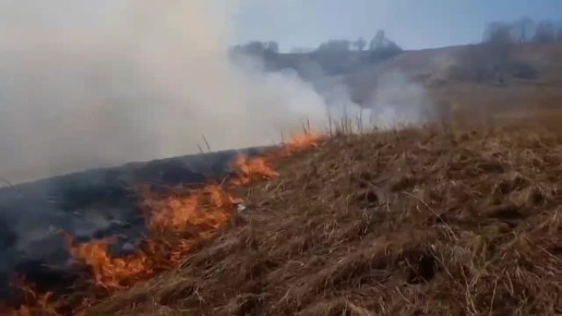 В Новосёловском районе огонь едва не дошёл до леса из-за пала травы