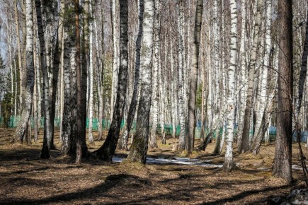 Сегодня депутаты проинспектировали загородный лагерь «Лето»