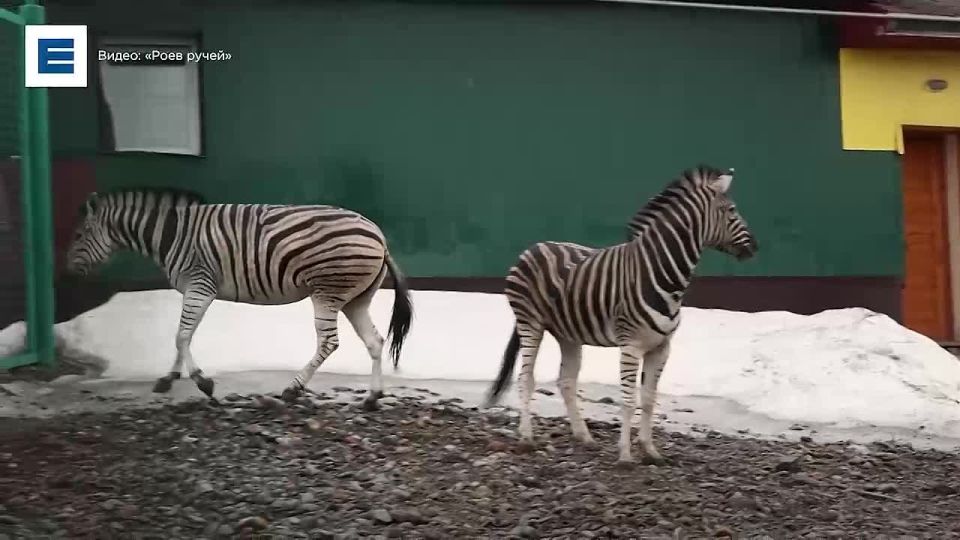 ����� �� ������ ������ ������ ������ � ������� �������