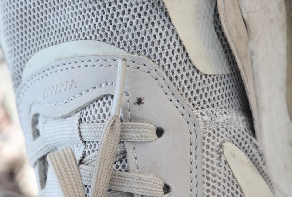 �� ������ ����� ������� 29 ������� ������������� ����