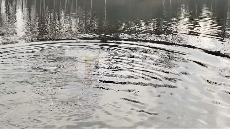 ������ ��������, ������ � �������: ��� ����� �������� ������� � ������ ��� ������������ �������