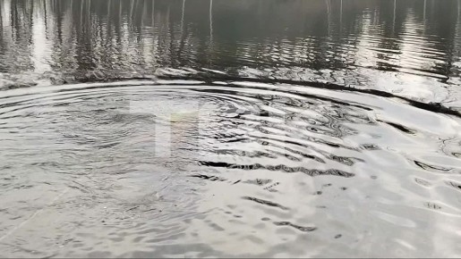 ������ ��������, ������ � �������: ��� ����� �������� ������� � ������ ��� ������������ �������