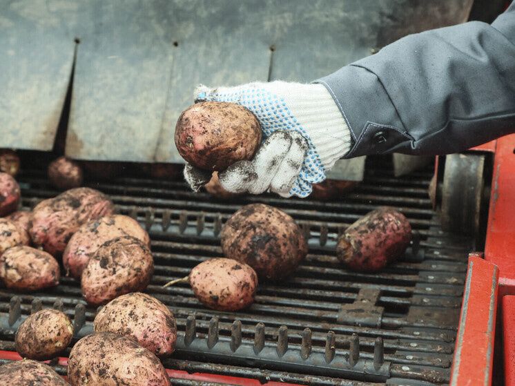 ��� ��������� ���� �� ��������: ��� ������� ����������� � 2025 ����