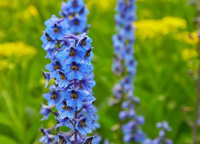 ������� ��������� ����������� ������������: ������ ��� ���������