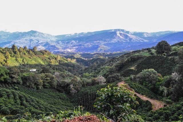 ������� ����: ��� ������� ��������� ���������� �����