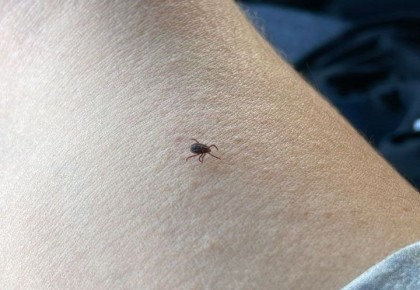 �� ������ 29 ������� ���������� �� ������ ������ � ������������ ����