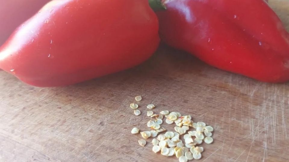 ��� ���������� ������������� ������ ��� ������: ������� ��������