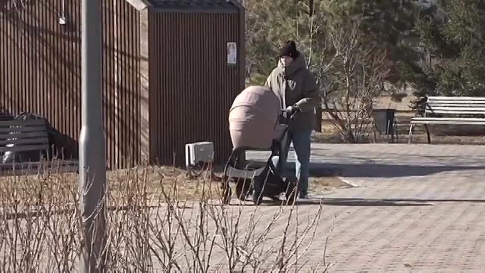 ����� �������: 31 ������������