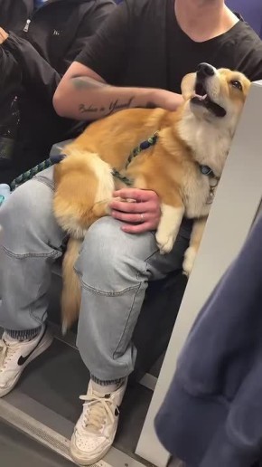 ������ ����!. ����� ����� ��������, � ��������� ������� � ��������! � ����� �������� ����� ����������� � ������� ���� ��������� ��� � ������ �������� ����������! �����: ������� ��������