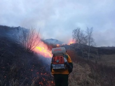 � �����������-������������� ������ ������������� ��� ������