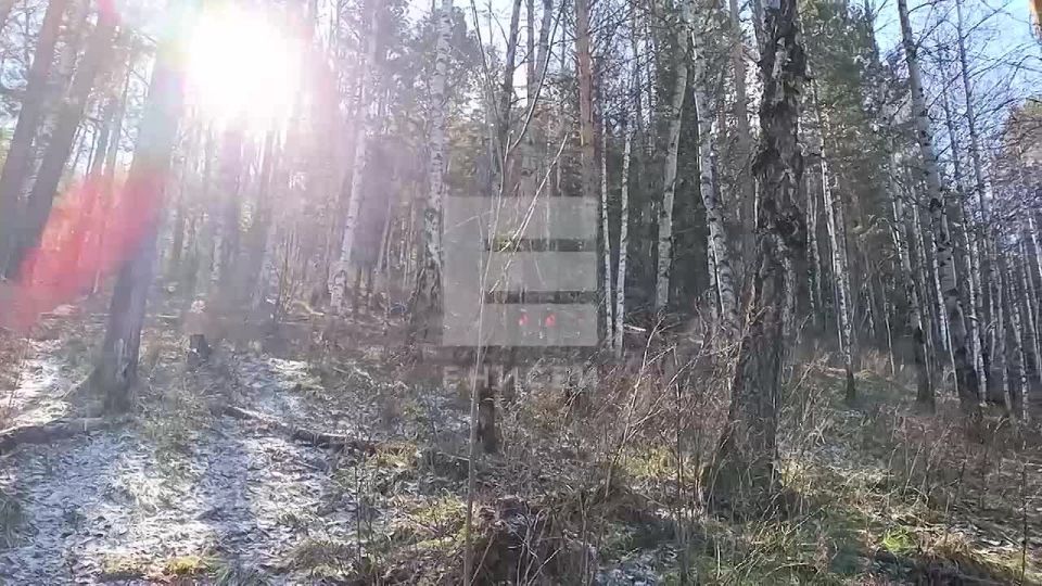 �� ������������� �������� ����������� ������ ���������� ������� ����������