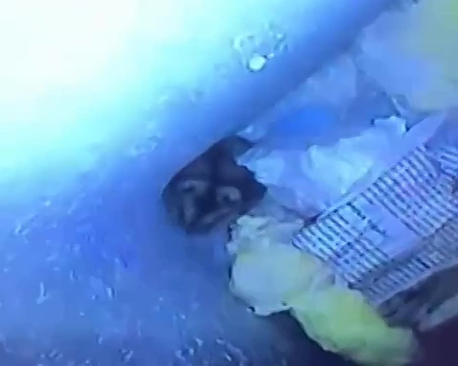 � ����������� ����� ������ �������� ������ - �� ����� ��� ������� � 7 �����: