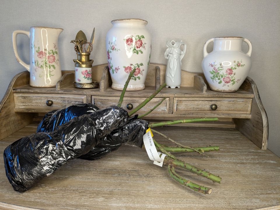 ������� �������� �������: ����� �� ������ ��� ���� � ���� ���?