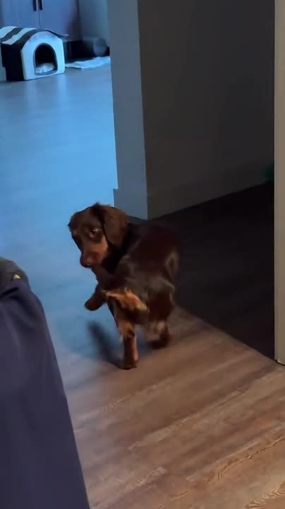 ����� � ������� � ���� �����, ������� ��� ������ ���, � ��� �����, ���������� ����� �������� � ���� ����