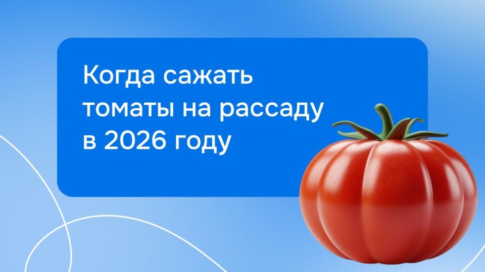 ��� ��������� ��������� ��������: ������� �������� �������