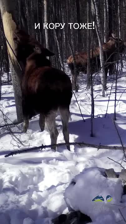 ��������� ����: ��� � ����, � ��� � � �������