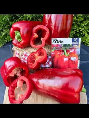 Сладкий перец «Конь»: надёжность и крупноплодность для каждого дачника