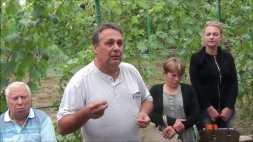 �������� �����: ��� ���� ���� ����������� ������ ������������