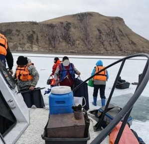 ��������� �������� ������� �� ������ �� ������������ ����