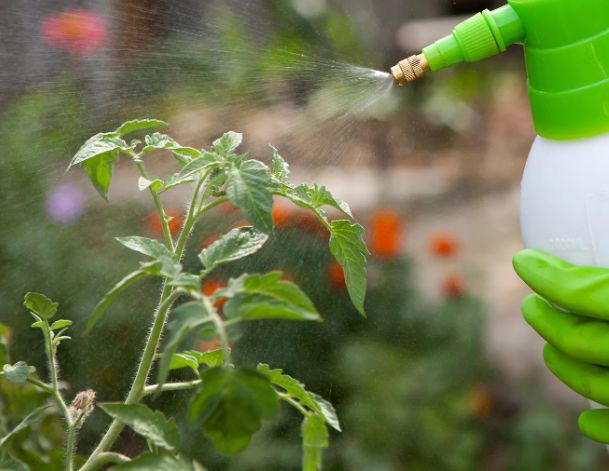 ����������� ������� ����� ��� ������ ������� � ����