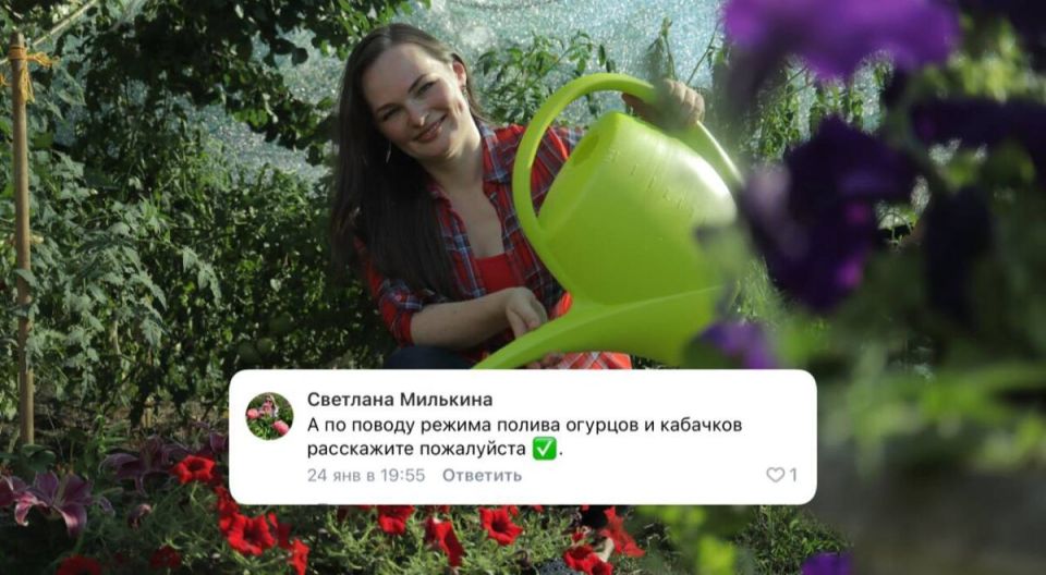 ��� �������� ������ � �������, ����� ��� �������� �������