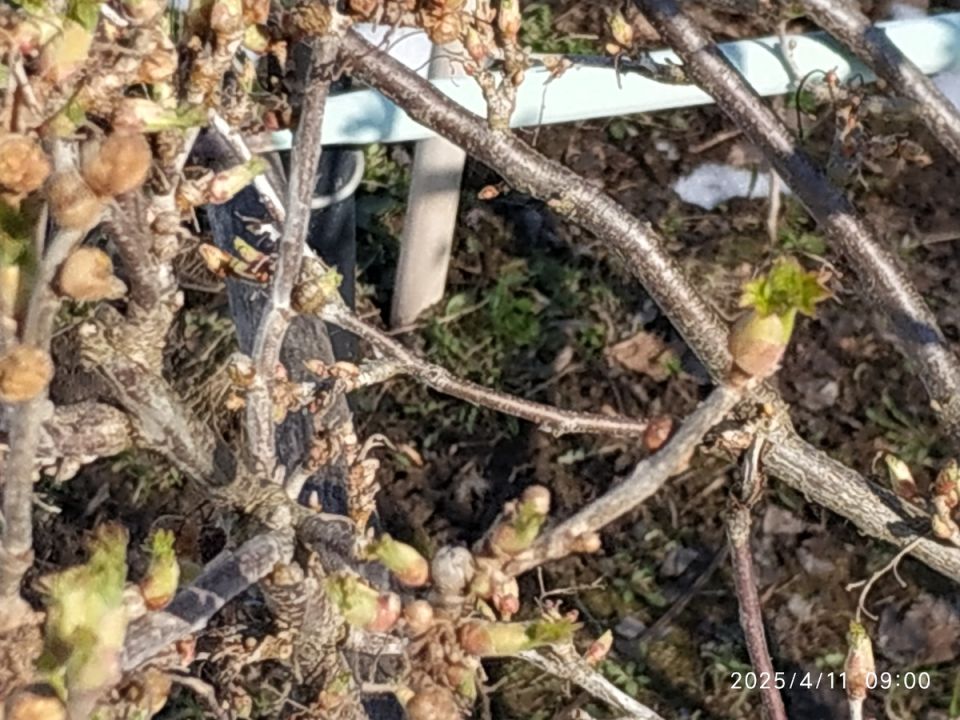 ��� ���������� �������� � �������� ������ �� ������ ���������