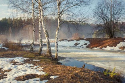 ������ 1 ����� ����� ����� ����� ����� ����� �����