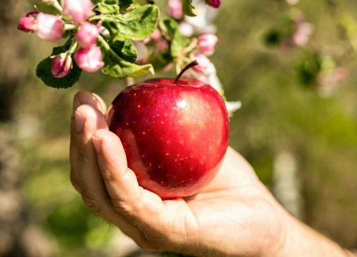 ��� �������� �������� � ��������� ����: ������� ������� ���������