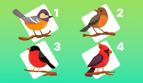 ���� �� ������: ��� ������� ���������� ����� � ������ ���� �������