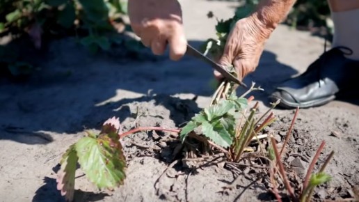 ��� ������� �������� �������� ����� ����� � ��������� ������� ������