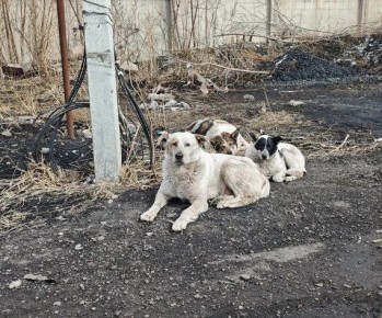 455 ����� �������� � ������ ���� � ���������� �������� �����������